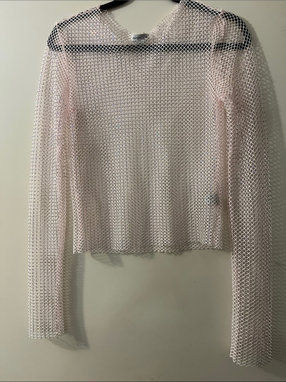 Sheer Pale Pink Mesh Long Sleeve Top